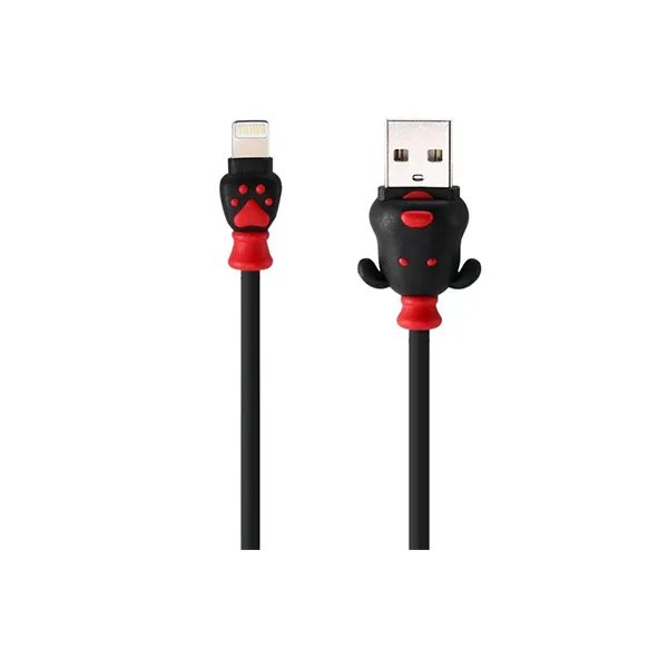 Remax Fortune Data Cable 1m for Lightning (RC-106i)