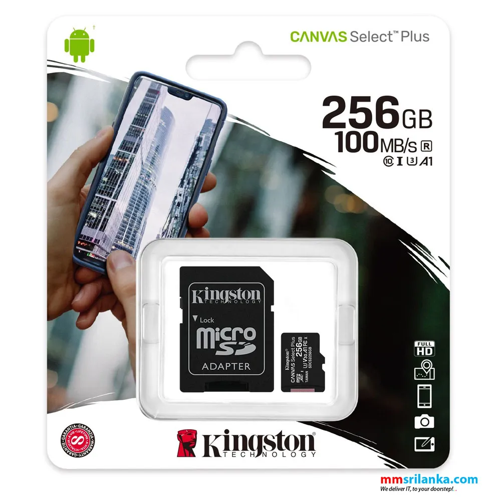 Kingston 256GB Class 10