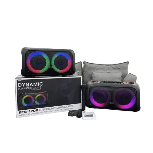 Brodu BTS-1709 Bass Portable Subwoofer Bluetooth Karaoke Speaker with Wireless MIC Big Sound/Dynamic — photo 2