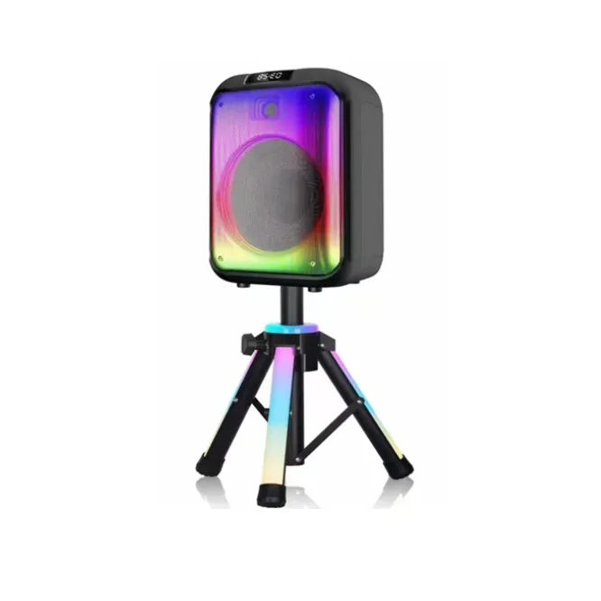 NDR 102B 12 Inch Wireless Bluetooth Speaker