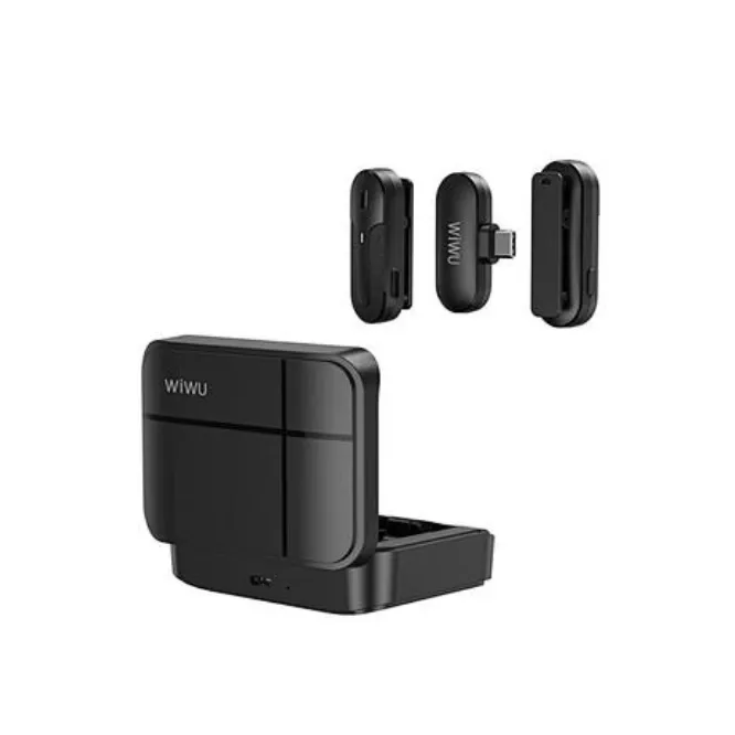 WiWU Wi-WM002 Portable Wireless Dual Microphone — photo 3