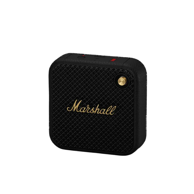 Other / Generic Willen Speaker (A Grade) — photo 2