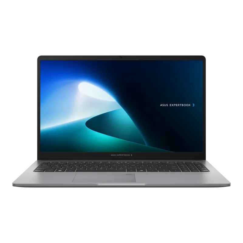 Asus ExpertBook P1 P1503CVA 8/512