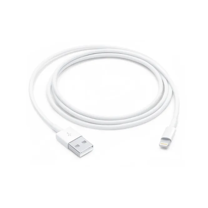 Other / Generic Apple Lightning To USB Cable – CN Version