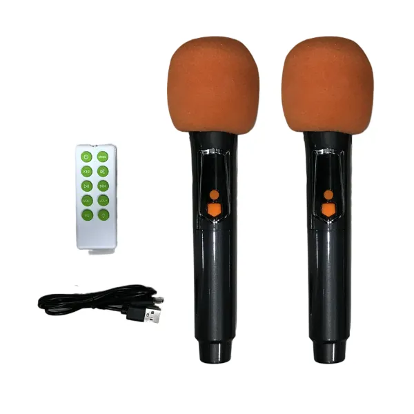 Brodu BTS-1989 Bluetooth Karaoke 22″ Speaker With 2 Microphone — photo 5