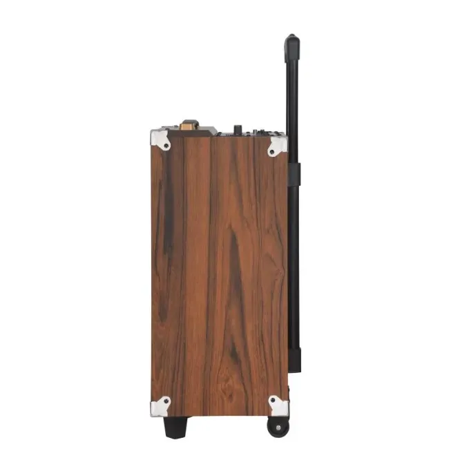 BAAB B-Q12 Speaker 12″ — photo 2