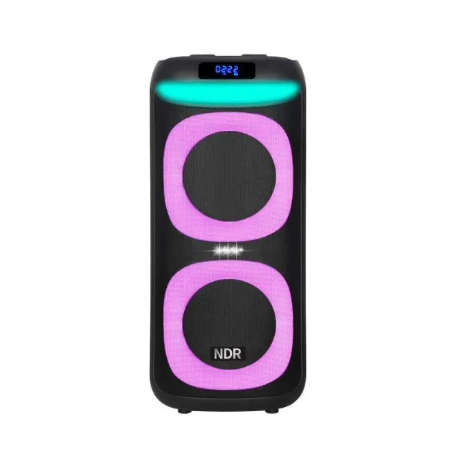 NDR 1908 Speaker 8″ x 2 — photo 2