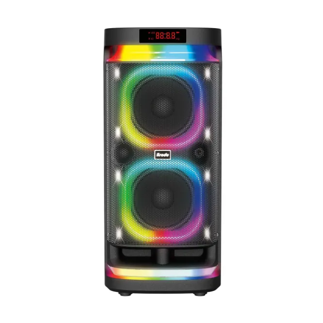 Brodu BTS-1990 Double 8″ Speaker — photo 4