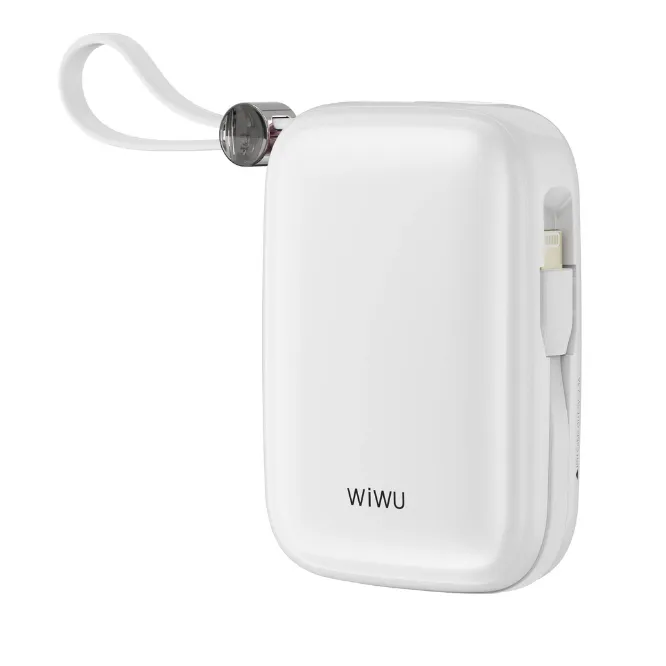 WiWU WI-P042 10000mAH Powerbank Monaco Pearl Gradient Color — photo 6