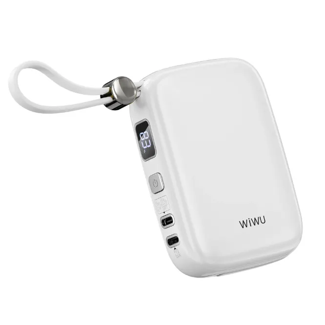 WiWU WI-P042 10000mAH Powerbank Monaco Pearl Gradient Color — photo 7