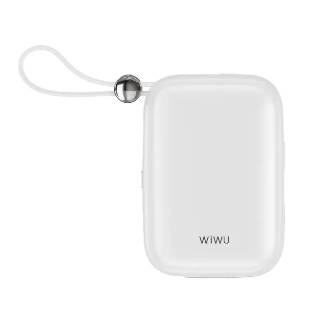 WiWU WI-P042 10000mAH Powerbank Monaco Pearl Gradient Color — photo 4