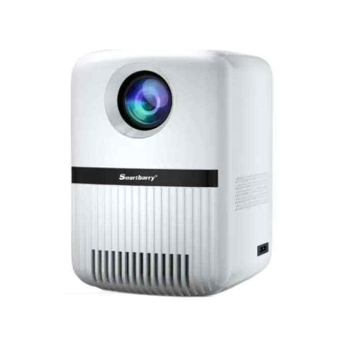 Other / Generic Smartbarry HT1 Pro Projector