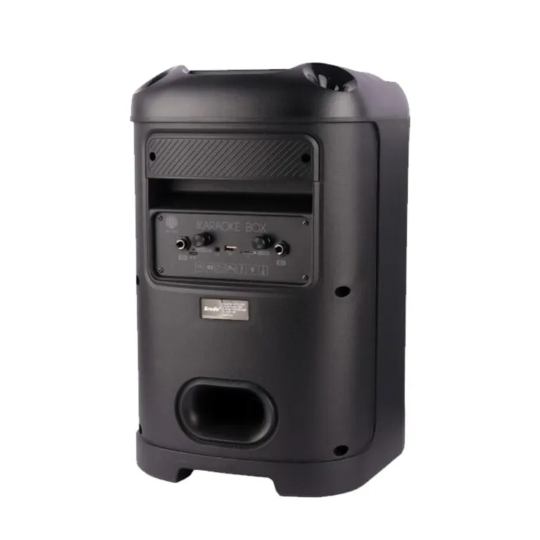 Brodu BTS-2103 Bluetooth Karaoke Speaker — photo 2