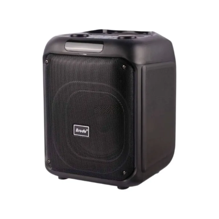 Brodu BTS-2107 Bluetooth Karaoke Speaker — photo 2