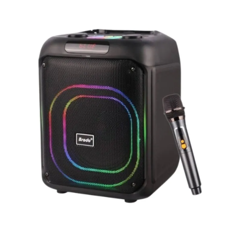 Brodu BTS-2107 Bluetooth Karaoke Speaker
