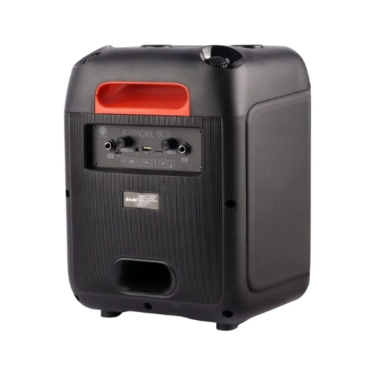 Brodu BTS-2107 Bluetooth Karaoke Speaker — photo 3