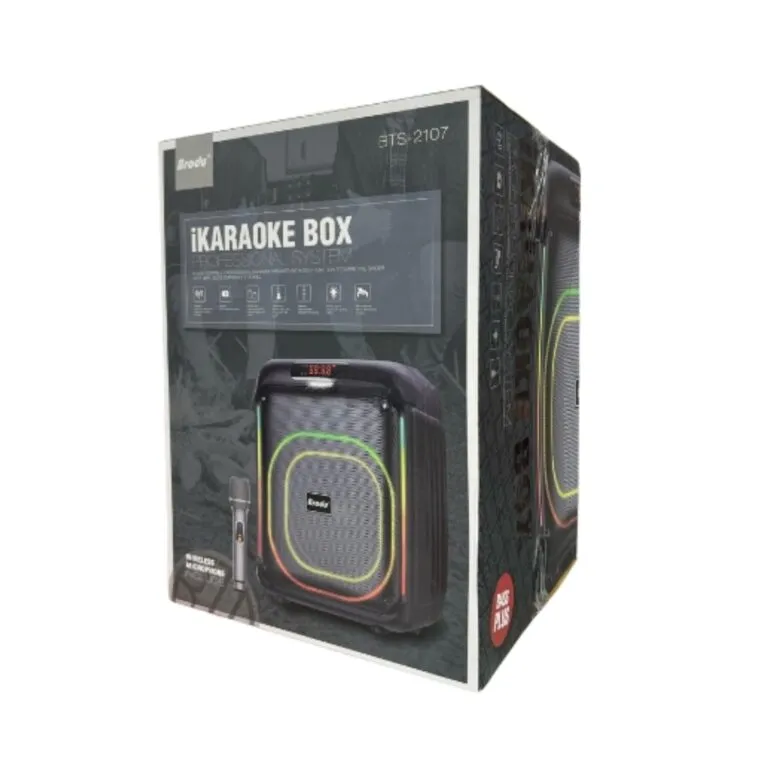 Brodu BTS-2107 Bluetooth Karaoke Speaker — photo 5