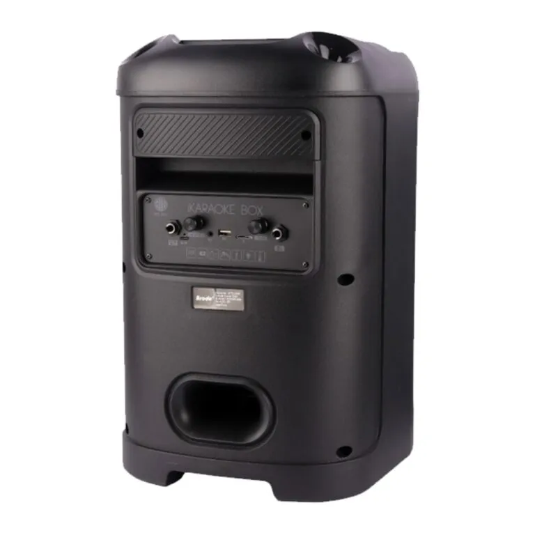 Brodu BTS-2103 Bluetooth Karaoke Speaker — photo 2