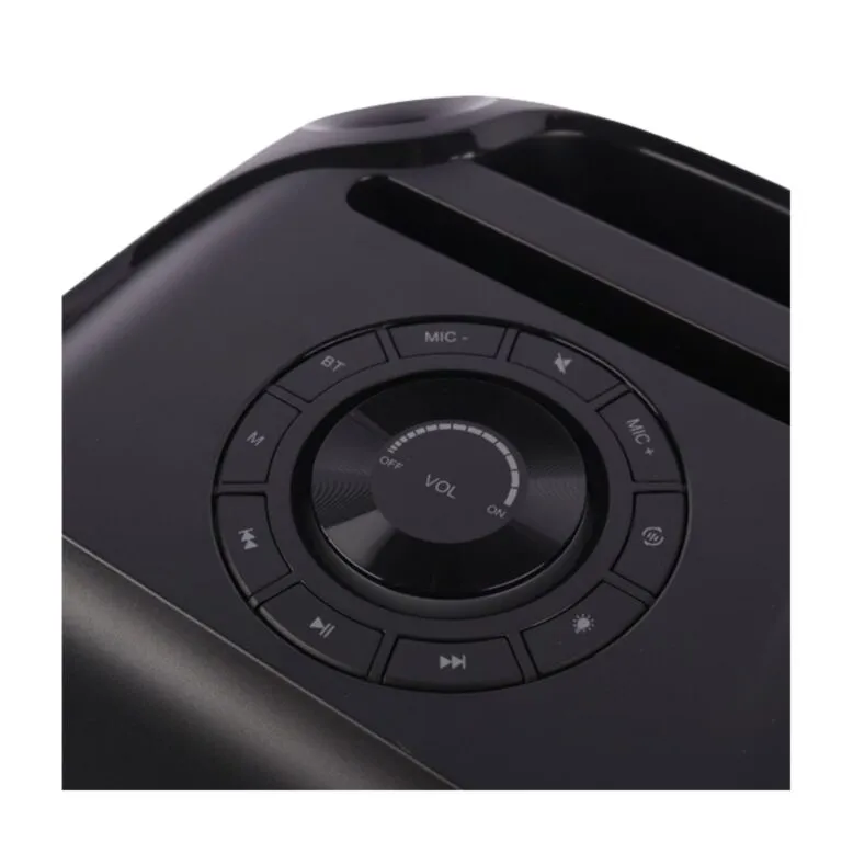 Brodu BTS-2103 Bluetooth Karaoke Speaker — photo 3